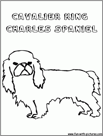 Cavalierkingcharlesspaniel Coloring Page