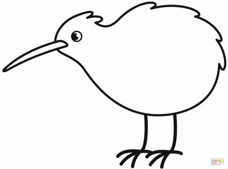 Kiwi Bird coloring page | Free Printable Coloring Pages