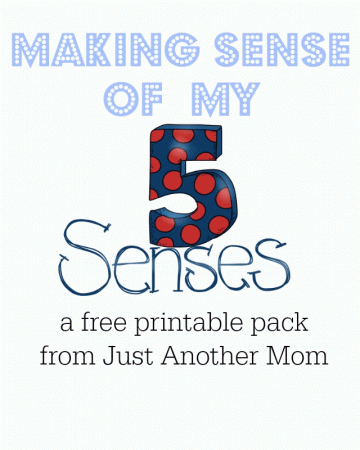 Making Sense of My 5 Senses