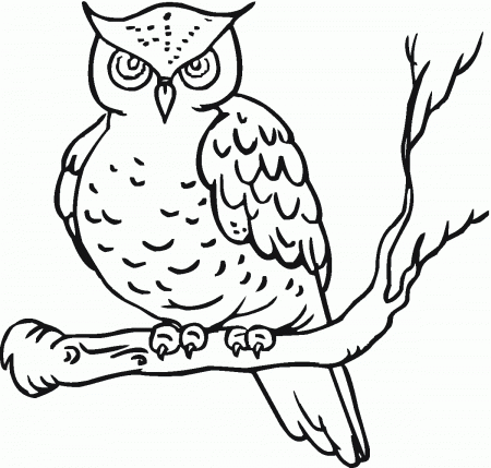 Owl Color Pages Printable Owl Coloring Pages Kids Simple Owl Free ...