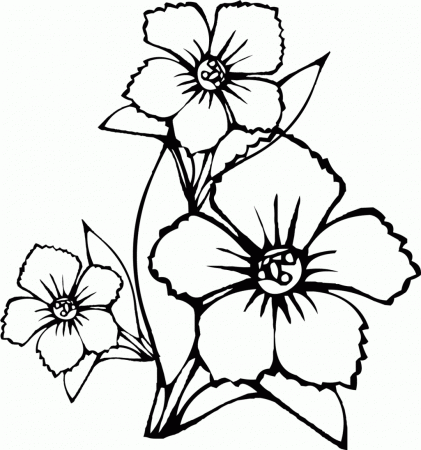 Printable Coloring Pages Of Flowers Wwwazembrace Hawaiian Flowers ...