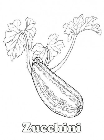 Zucchini coloring pages - Coloring pages