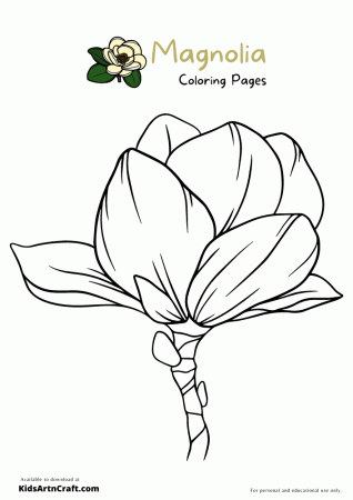 Magnolia Coloring Pages For Kids – Free Printables - Kids Art & Craft