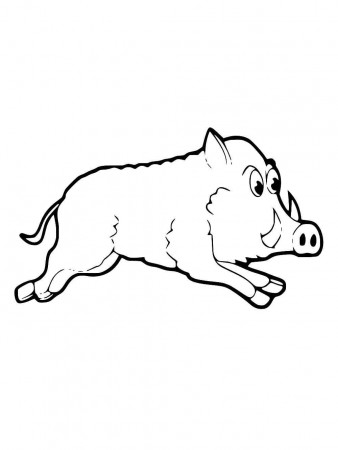 Boar coloring pages