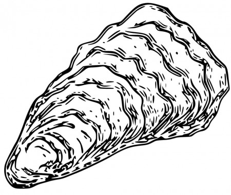 Printable Oyster Coloring Page - Free Printable Coloring Pages for Kids