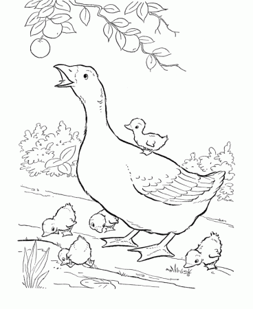 Farm animal coloring page | Geese | Farm animal coloring pages, Animal coloring  pages, Farm coloring pages
