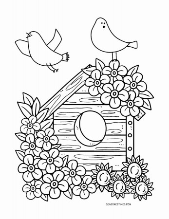 Coloring for Seniors – Seasoned Times