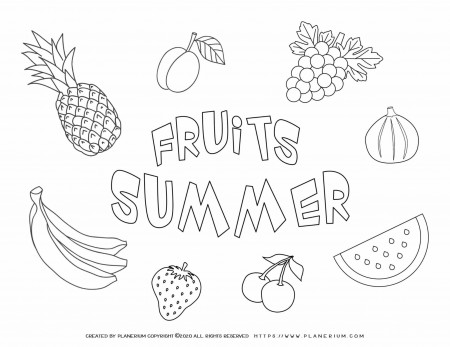 Summer - Coloring Page - Fruits of the Summer | Planerium