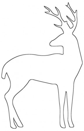 Deer Outline Coloring Page – Free Deer Coloring Sheet