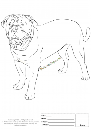 Free Printable Bulldog Coloring Pages - 2 | MrColoring.com
