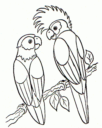 Bird Coloring Page Parrots | Animal Coloring pages of ...