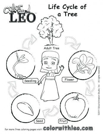 tree of life coloring pages – africaecommerce.co