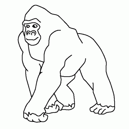 emperor tamarin coloring page | Gorilla Coloring Page | Jungle ...