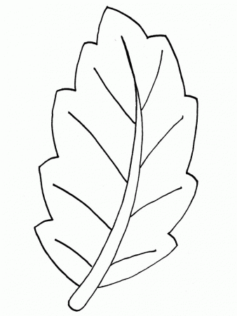 Leaf Coloring Pictures For Kids