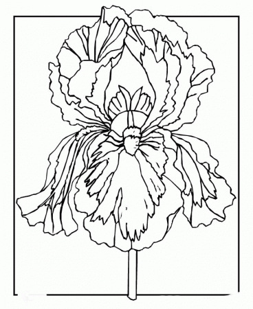 Spring Flowers Coloring Pages For Kids - Spring day Cartoon 