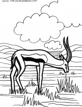 Download Antelope Coloring Page Idea | ViolasGallery.