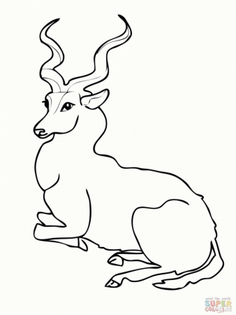 Kudu Forest Antelope Coloring Page Online Jpg 147899 Antelope 