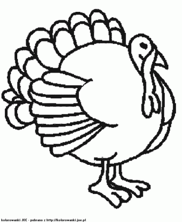 Turkey Feather Coloring Page