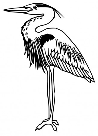 Free Heron Coloring Page - Free Printable Coloring Pages for Kids