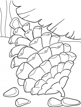 Pine Cone coloring pages. Download and print Pine Cone coloring pages | Coloring  pages, Coloring sheets for kids, Fir cones