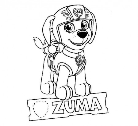 Zuma Paw Patrol Coloring Page - Free Printable Coloring Pages for Kids