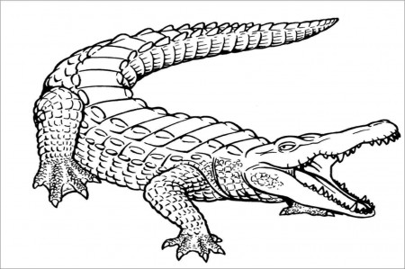 Coloring pages robot crocodile Drawn dinosaur robot coloring page ...