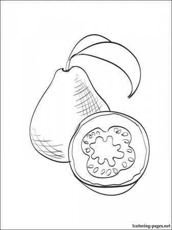 Guava coloring page to print out | Coloring pages