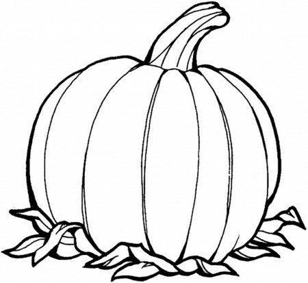 7 Pics of Pumpkin Coloring Pages Templates - Blank Pumpkin ...