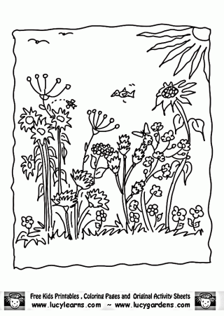 Coloring Pages Of Flowers And Gardens - Coloring