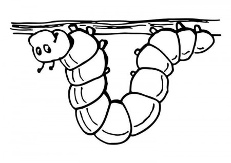 Coloring Page caterpillar - free printable coloring pages - Img 29829