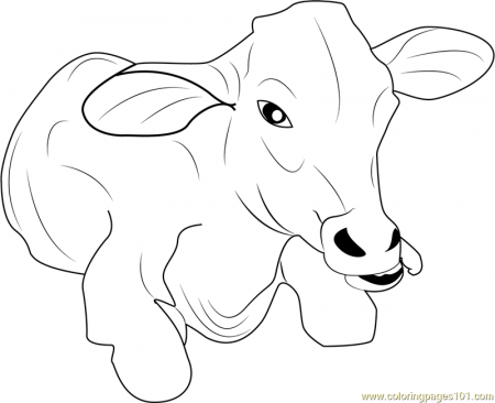 Baby Cow Coloring Page for Kids - Free Cow Printable Coloring Pages Online  for Kids - ColoringPages101.com | Coloring Pages for Kids