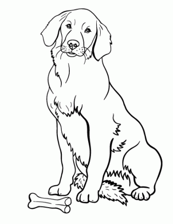 Free Golden Retriever Coloring Page