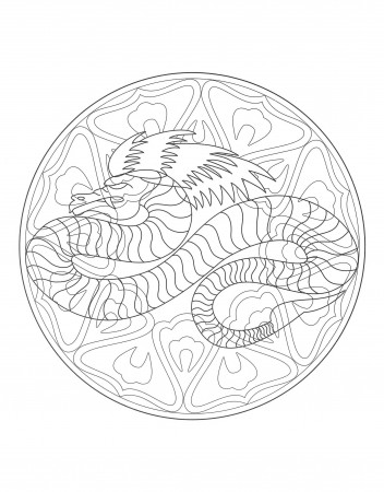 Dragon Mandala - 4 - Mandalas with animals