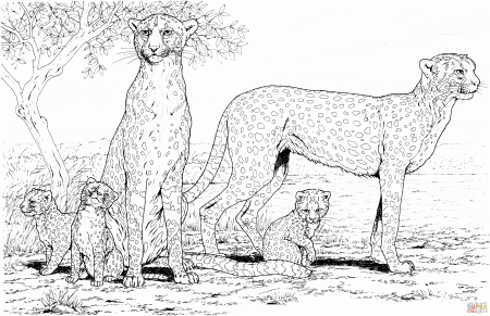 Cheetah Coloring Book Pages - High Quality Coloring Pages