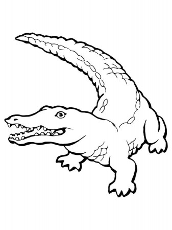 Coloring pages: Crocodile, printable for kids & adults, free