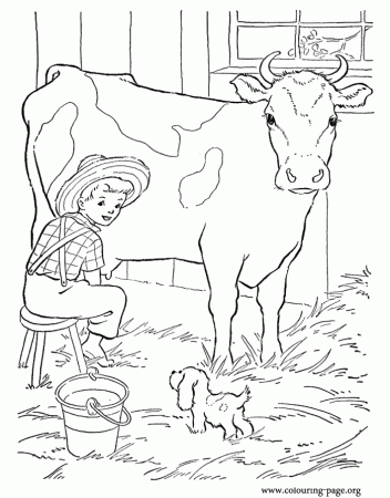 Cows and Calves - A farm boy milking a cow coloring page