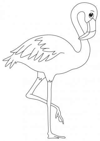 flamingo coloring sheet – apartamentosbogota.co