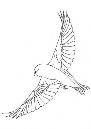 sparrow-coloring-pages-17 - ColoringPagehub | ColoringPagehub
