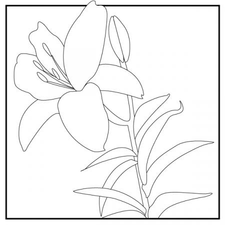 Coloring Pages | Chicago Botanic Garden