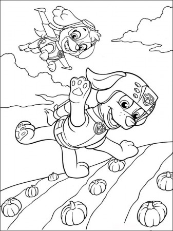 Zuma Paw Patrol coloring pages. Download and print Zuma Paw Patrol coloring  pages