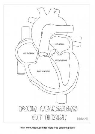 Chambers Of The Heart Coloring Page | Blog Coloring Pages Percent