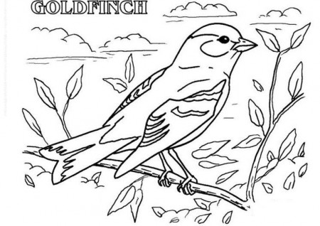 If you are looking for sites giving coloring file like American Goldfinch  pictures, then you will find it so man… | Coloring pages, Goldfinch, Animal coloring  pages