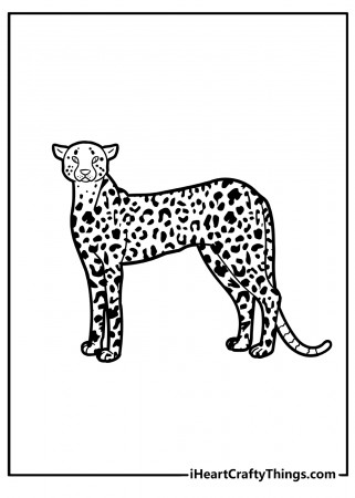 Printable Cheetah Coloring Pages (Updated 2023)