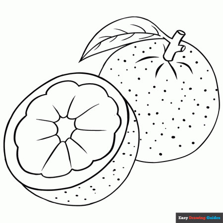 Orange Coloring Page | Easy Drawing Guides