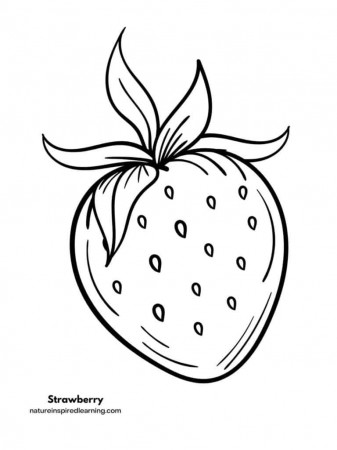 Strawberry Coloring Pages - Nature Inspired Learning