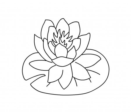 Printable Hibiscus Flower Coloring Pages | Cooloring.com