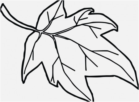 Coloring Pages oranges Concept orange Coloring Page Blossom ...
