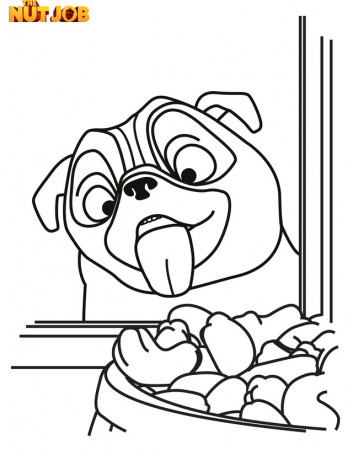 Sam - Pug Coloring Page