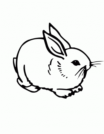 7 Pics of Buggs Bunny Baby Free Coloring Pages - Baby Bugs Bunny ...