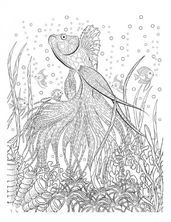 1000+ ideas about Ocean Coloring Pages | Printable ...